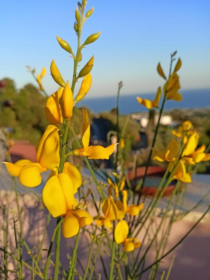La Petite Maison Aci Castello Kültér fotó